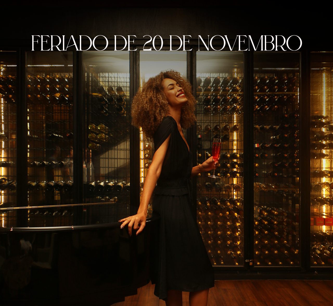 FERIADO DE 20 DE NOVEMBRO