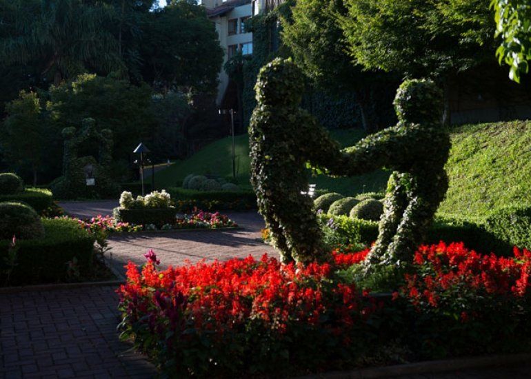 Jardim topiário com folhagens em forma de coração e flores vermelhas vibrantes sob a luz do sol.