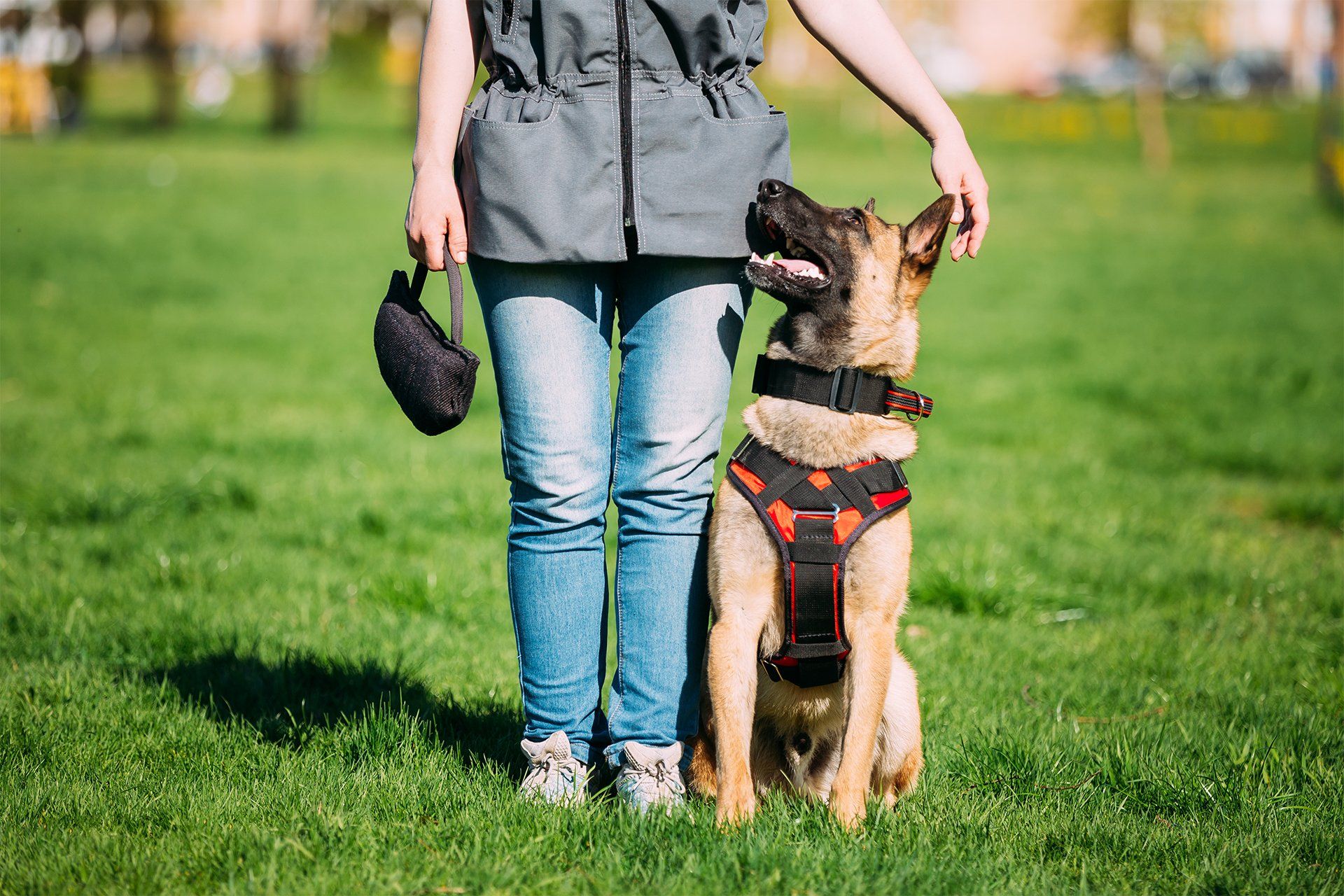 Trainer and a Dog in Park