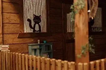 A black cat is sitting on a shelf in a wooden house behind a wooden fence.