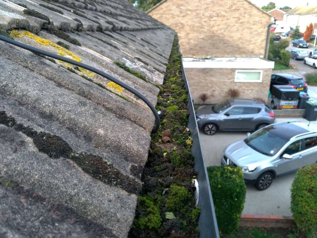 Blocked gutters - Gutta Clean Worthing