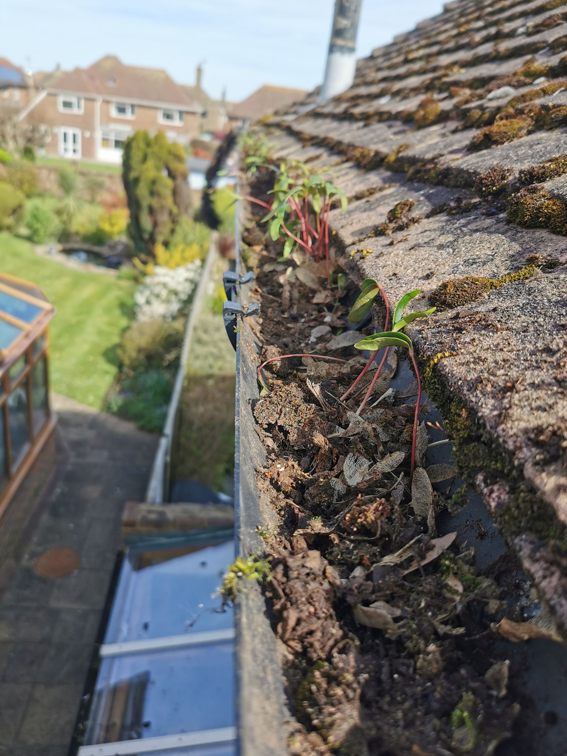 Blocked gutters with brushes
