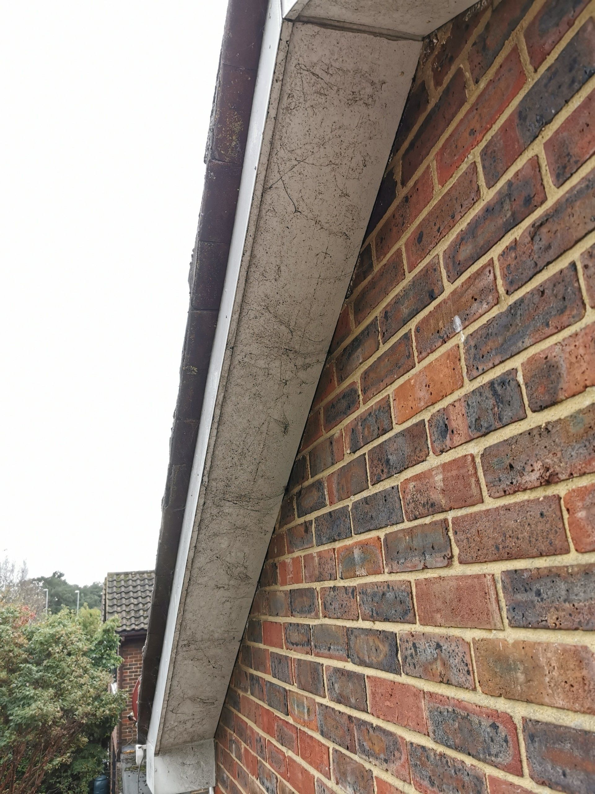 Dirty soffits