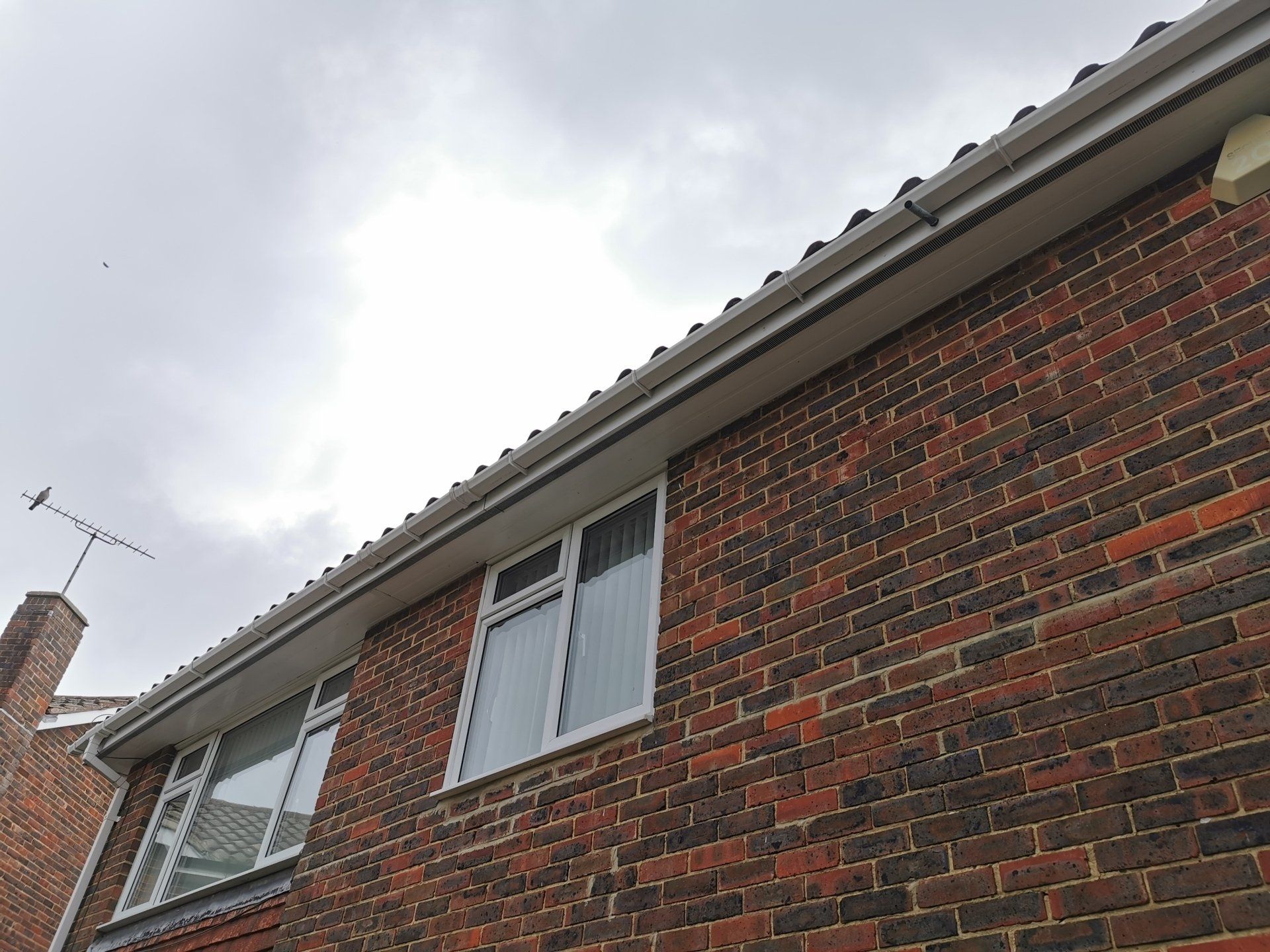Recent gutter cleaning