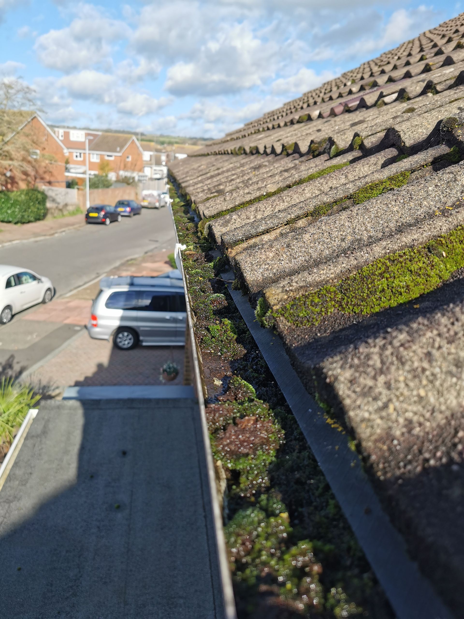 What's in your gutters?