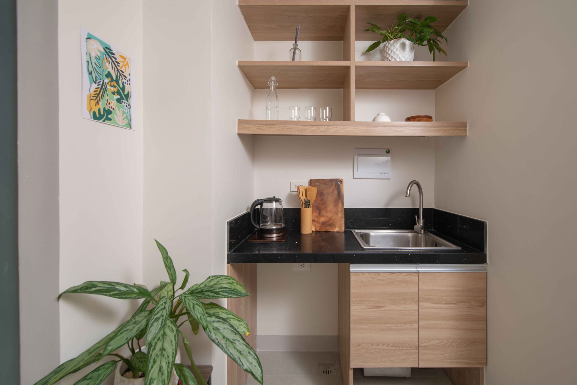 Small kitchenette with sink, black countertop, wooden cabinets/shelves, and a potted plant.