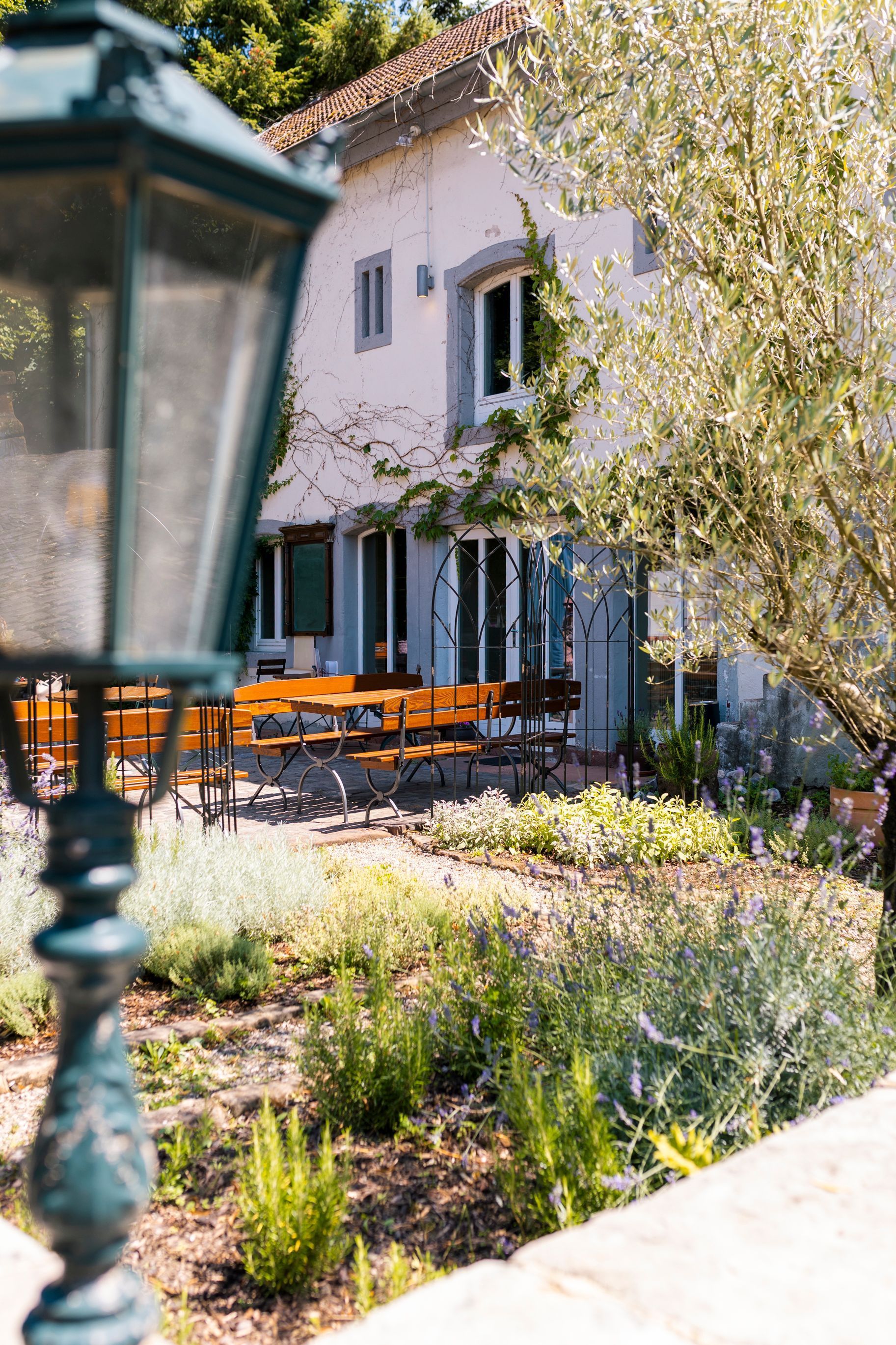 Gartenterrasse mit orangefarbenen Stühlen neben einem weißen Haus und blühenden Bäumen