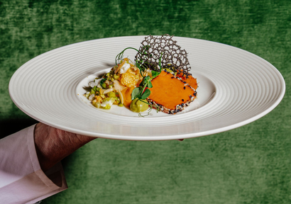 Hand hält einen weißen Teller mit einem Gourmetgericht und Orangensauce vor grünem Hintergrund