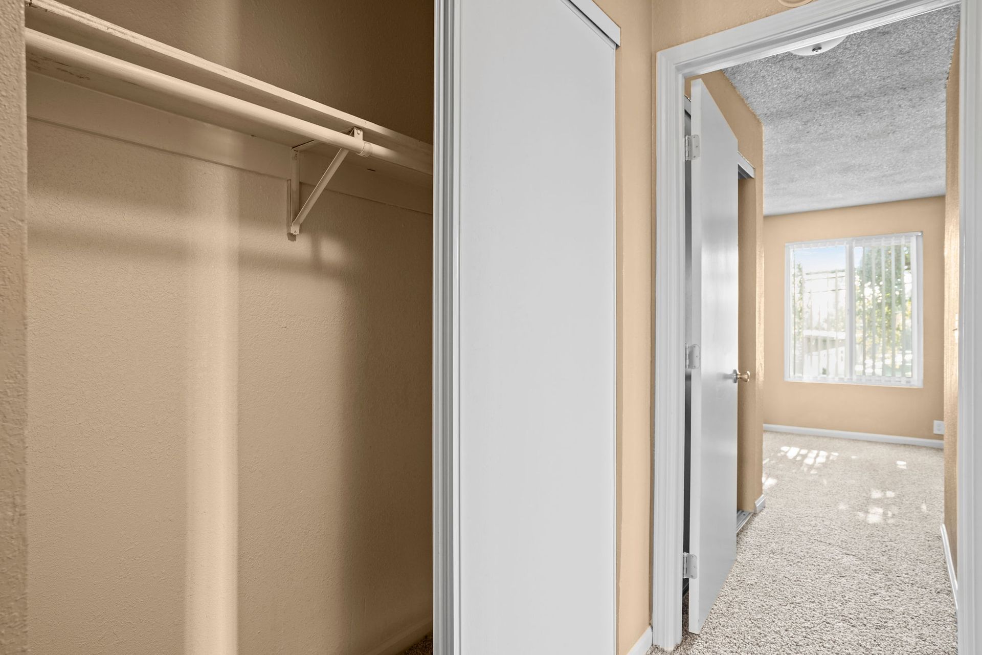 Empty closet beside a bright hallway with carpet and a window