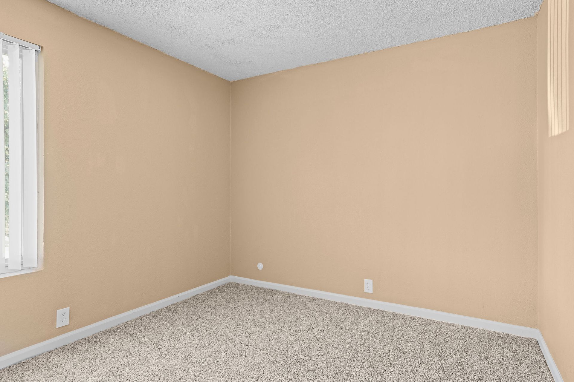 Empty beige carpeted room with two windows and white trim