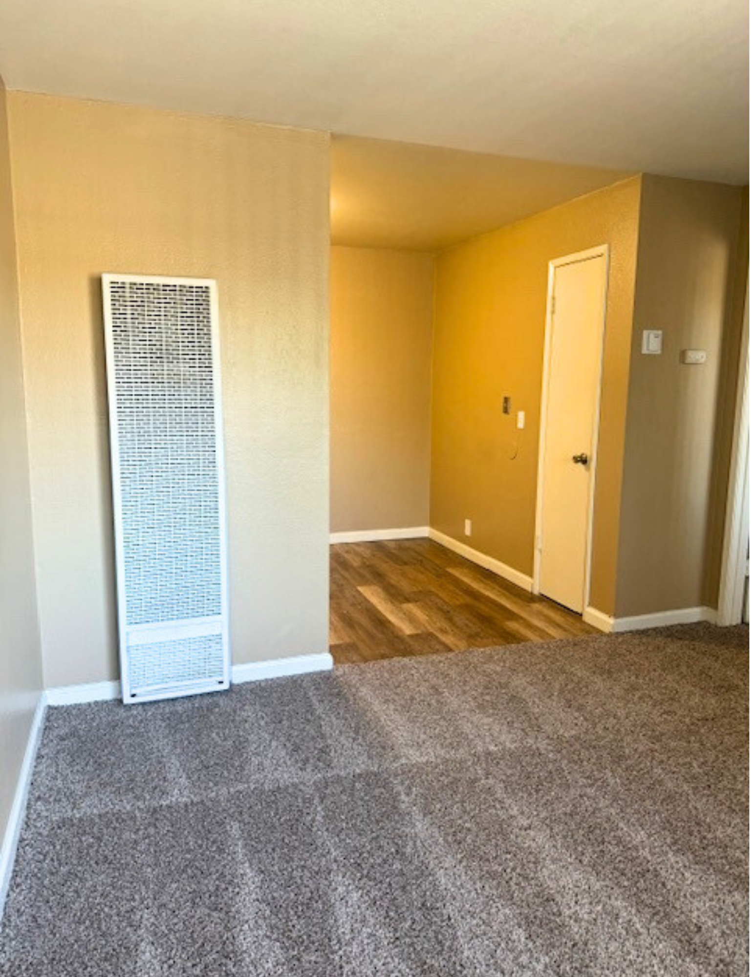 Empty carpeted room with tan walls, a white door, and a small wood-floored entry area.