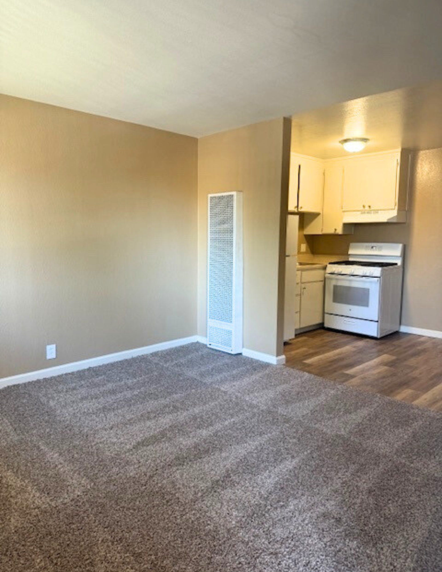 Empty apartment living area with beige walls, carpet, and a small kitchen with white appliances.