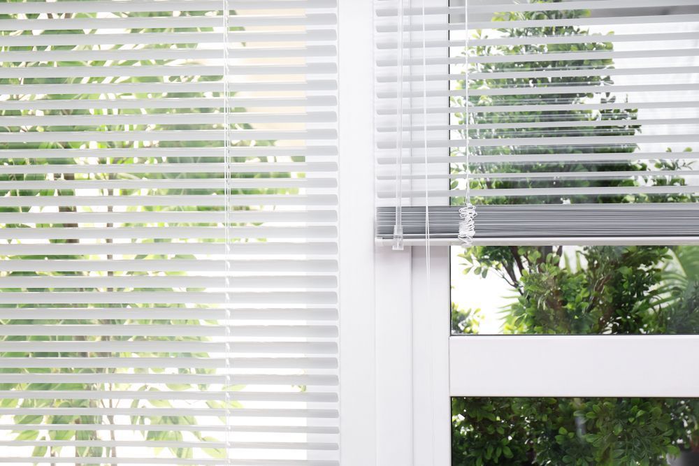 A Window With Blinds on It and Trees in the Background — Curtain Haven & Blinds in Lake Cathie, NSW