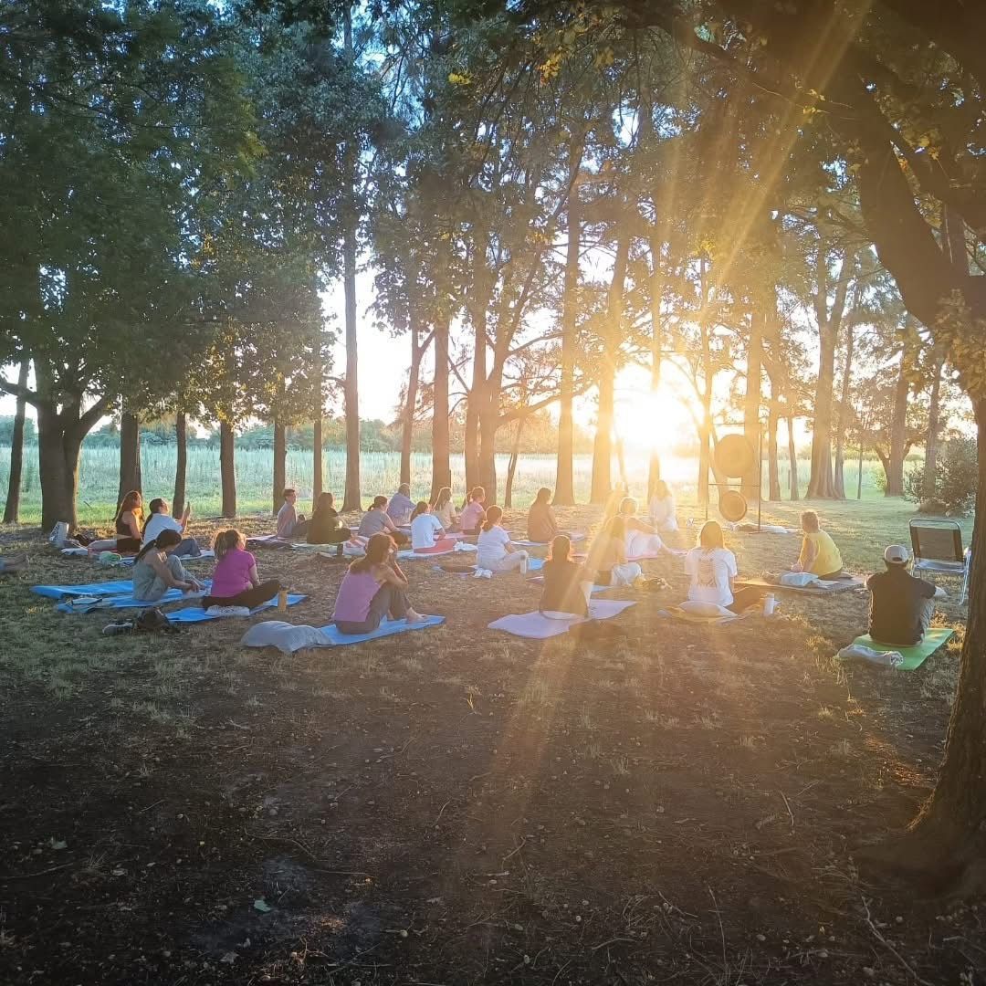 Gente sentada sobre mantas en un parque arbolado iluminado por el sol al atardecer.