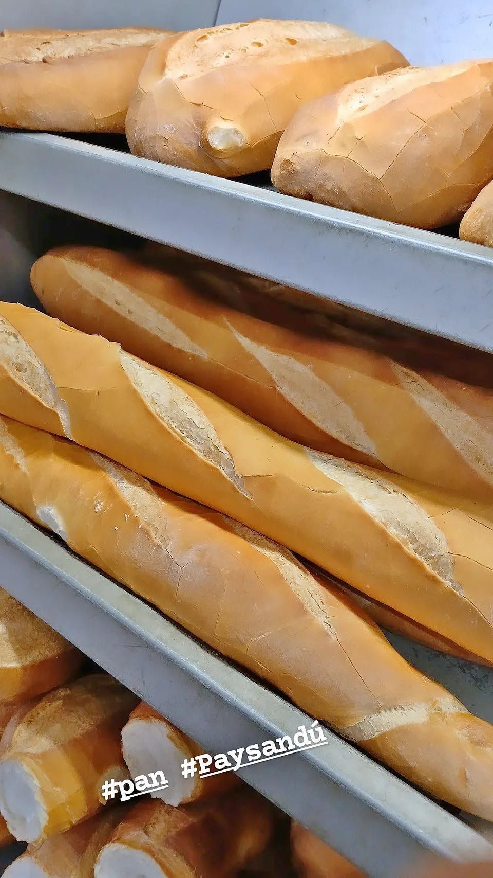 Baguettes recién hechas apiladas en estantes metálicos de panadería.