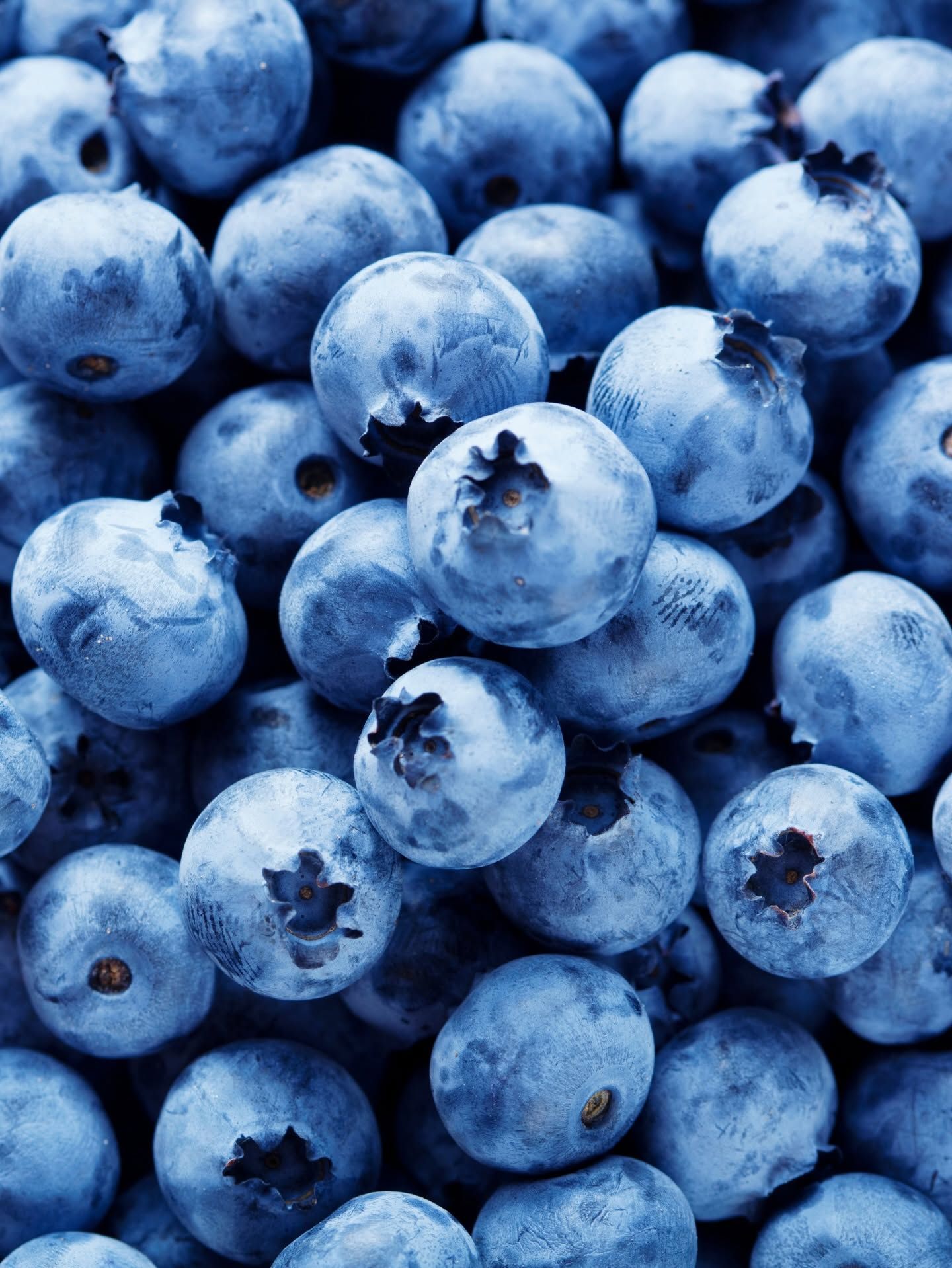 Primer plano de arándanos maduros apilados, cubiertos por una capa azul escarchada.