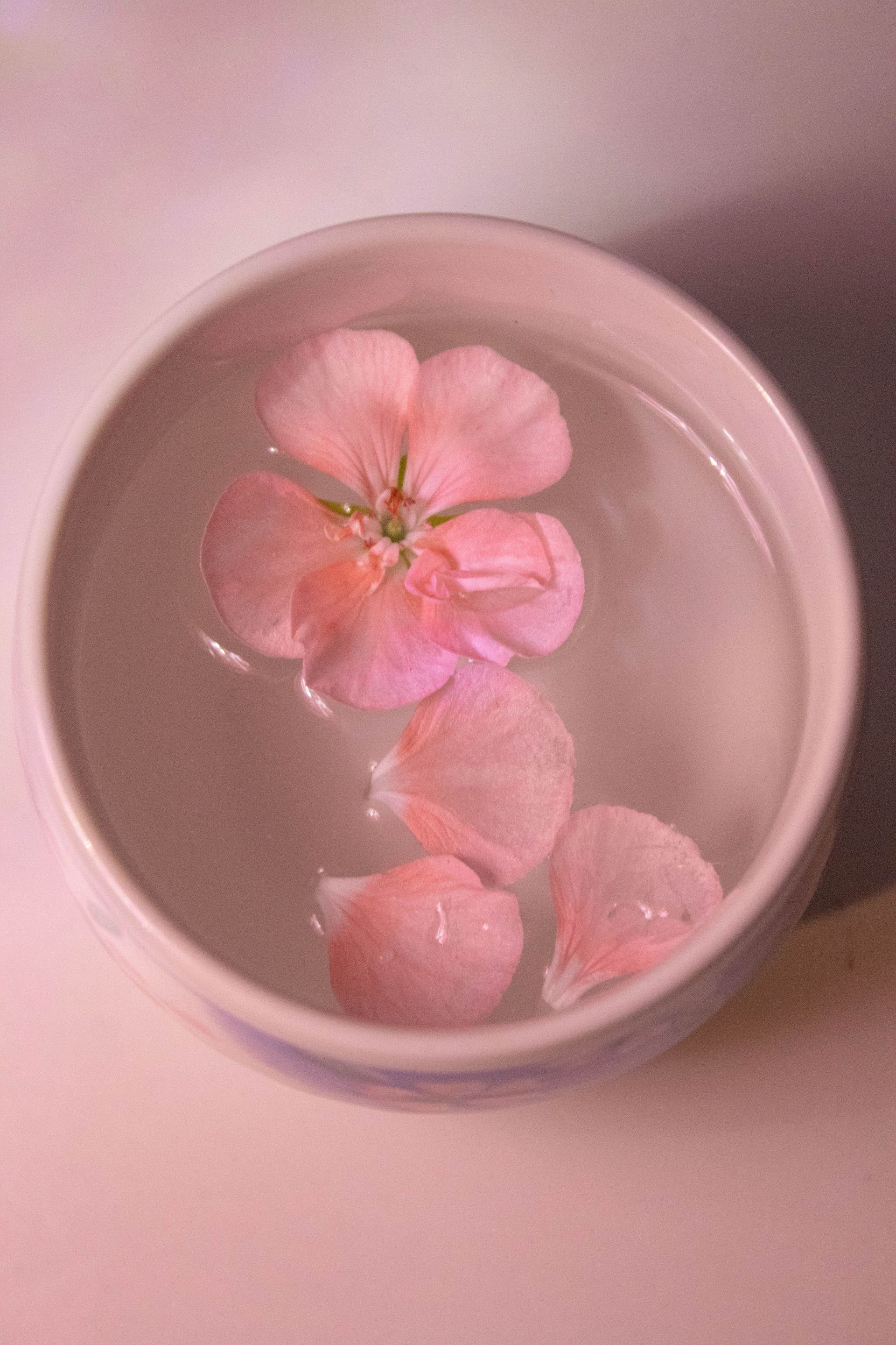 Una flor rosa flotando en un recipiente con agua sobre una superficie de color rosa pálido.