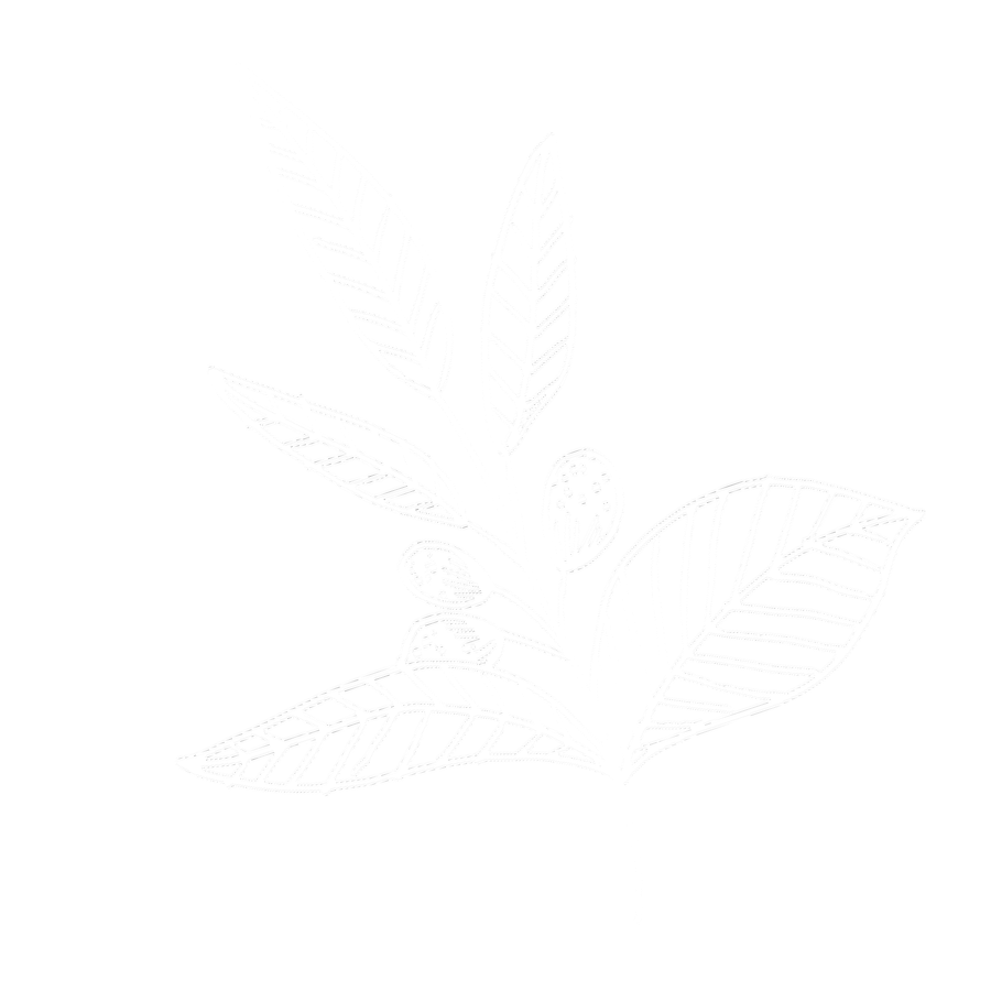 Luma Coffee Branch