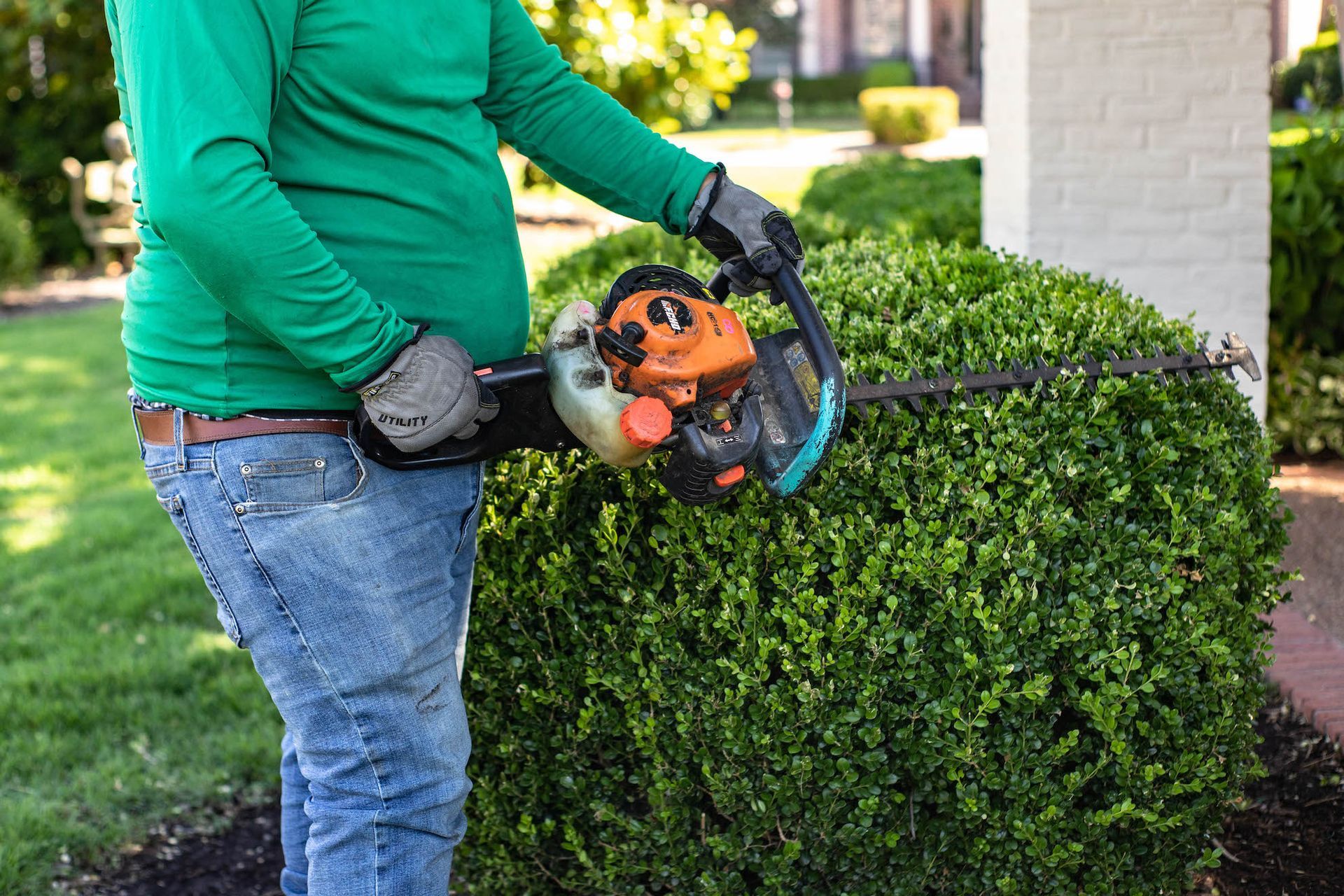 Bush Maintenance