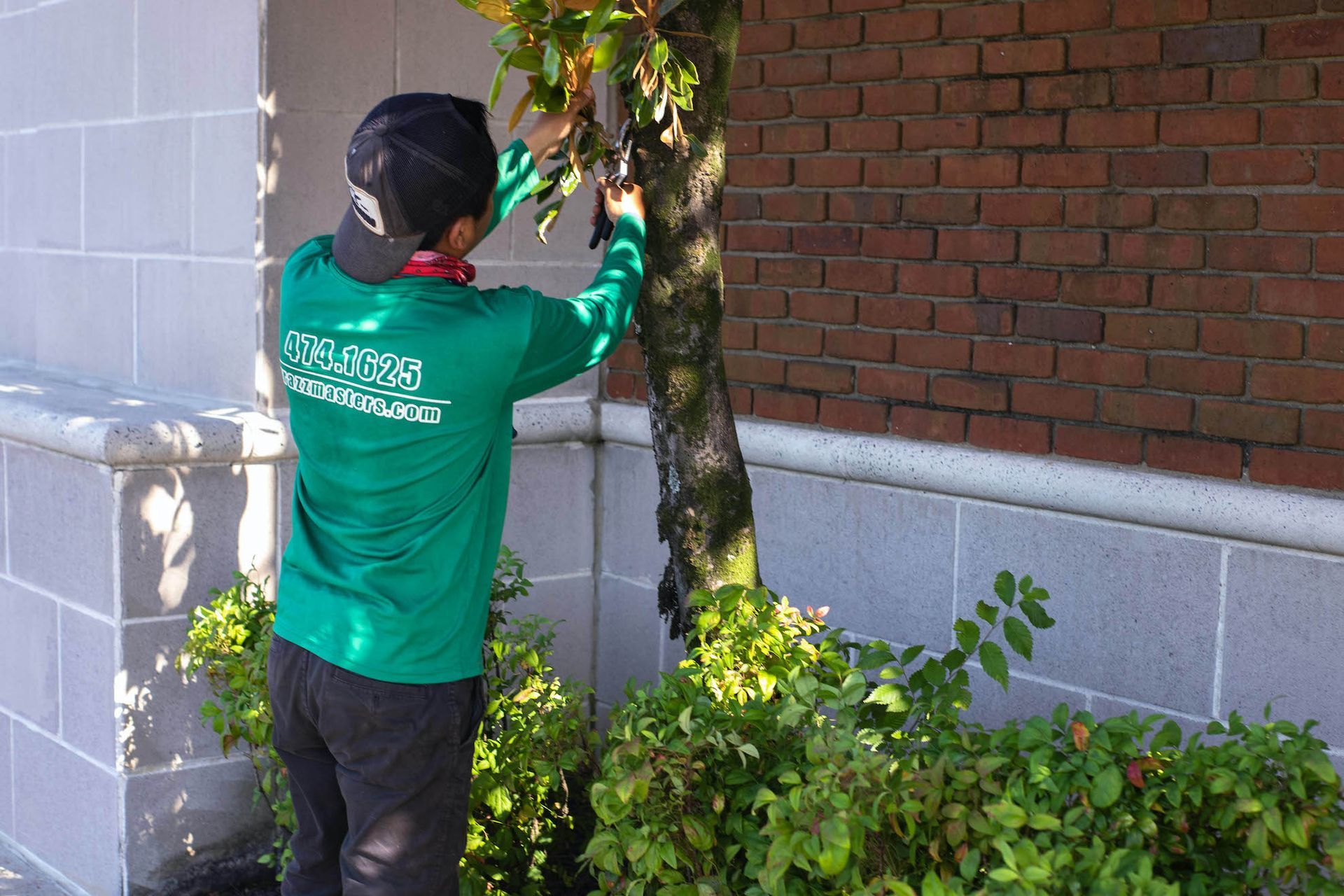 Tree Pruning