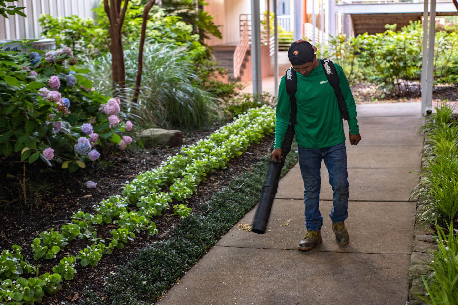 Property Clean Up