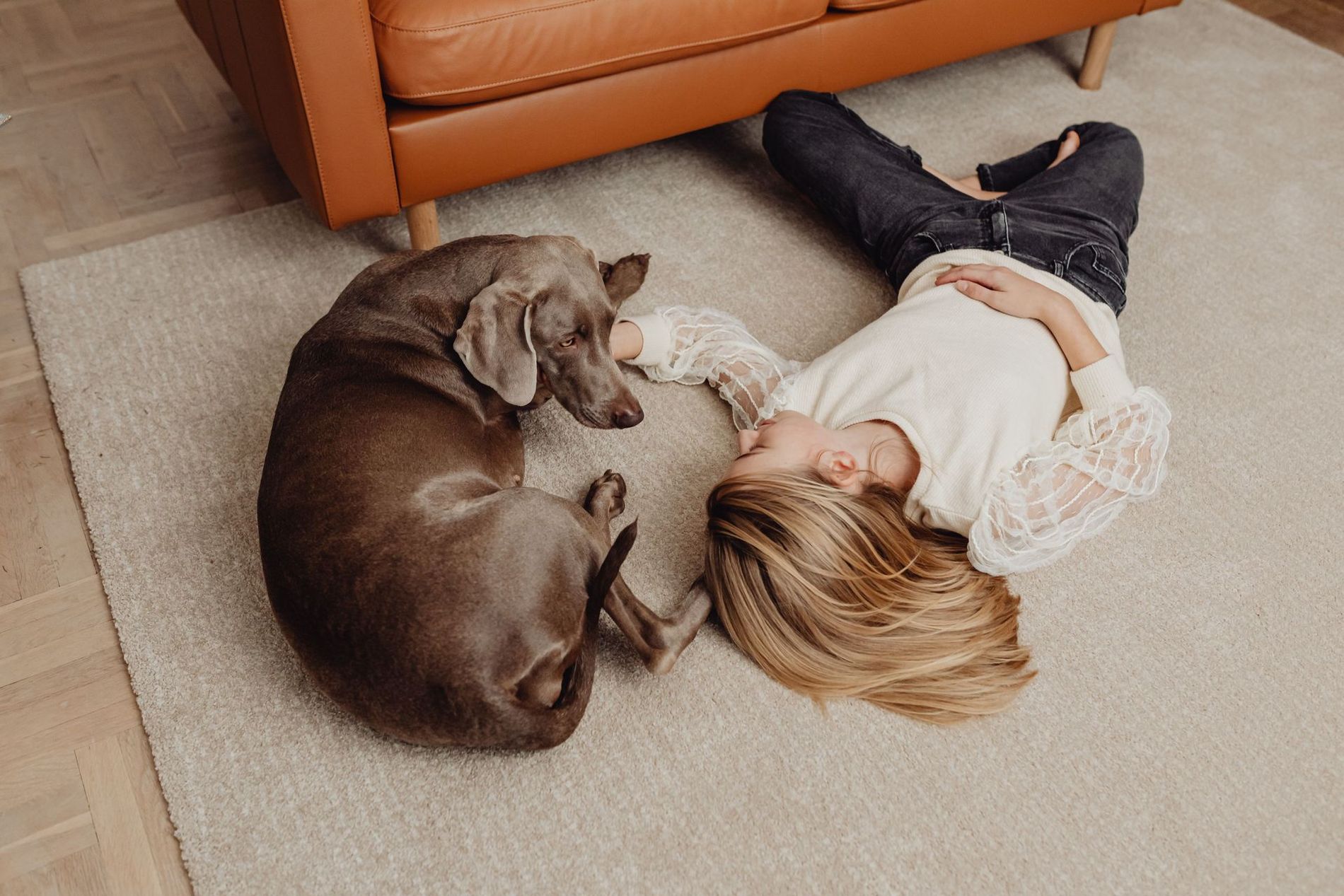 Child lying on a carpet beside a curled brown dog near an orange sofa