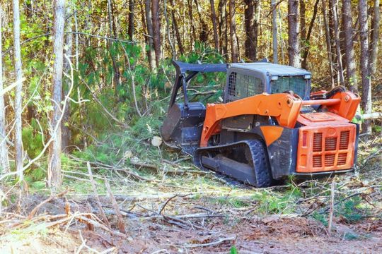 Orange skid steer clearing brush in a wooded area