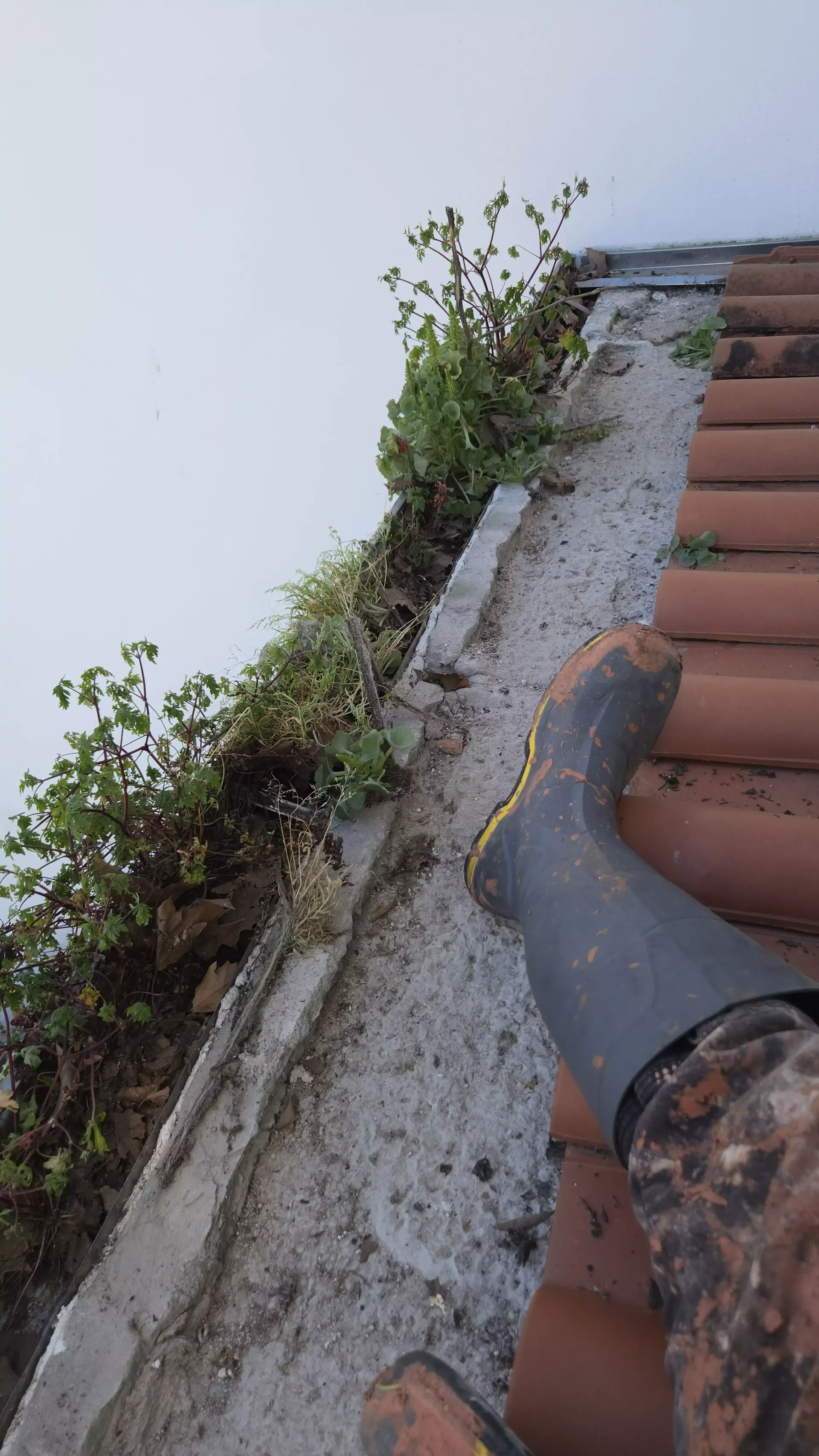 Caleiras com vegetação e sujidade acumulada antes da limpeza