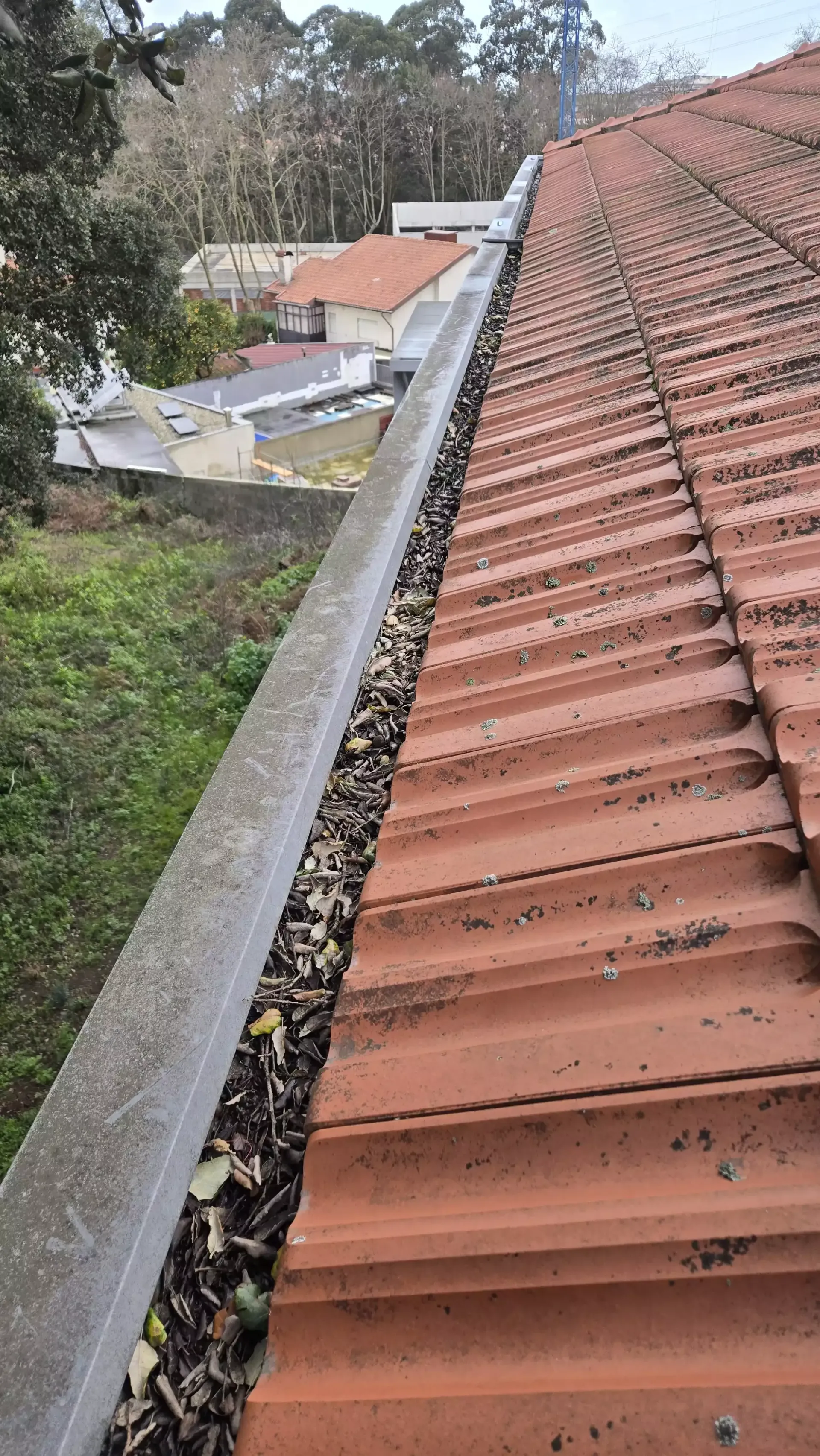 Caleiras com folhas acumuladas antes da limpeza