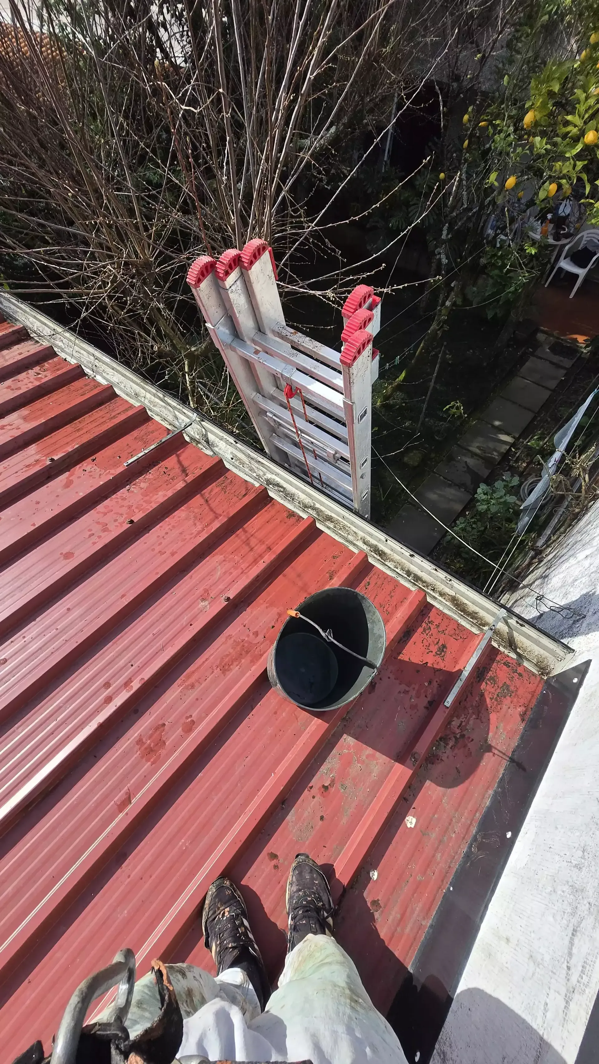 Cobertura metálica após limpeza profissional