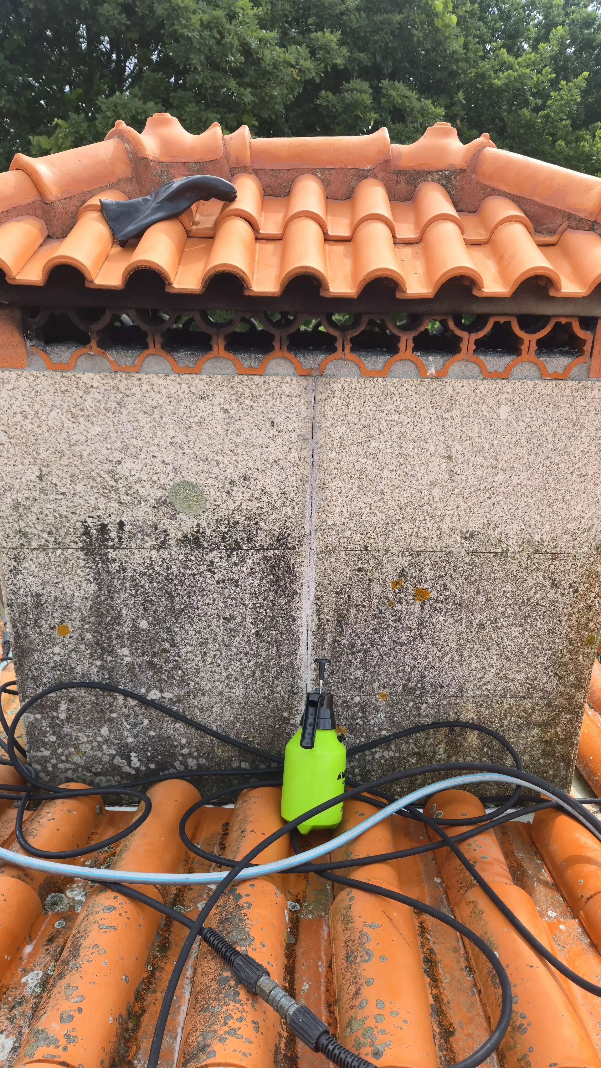 Parede exterior com fungos e sujidade antes da limpeza