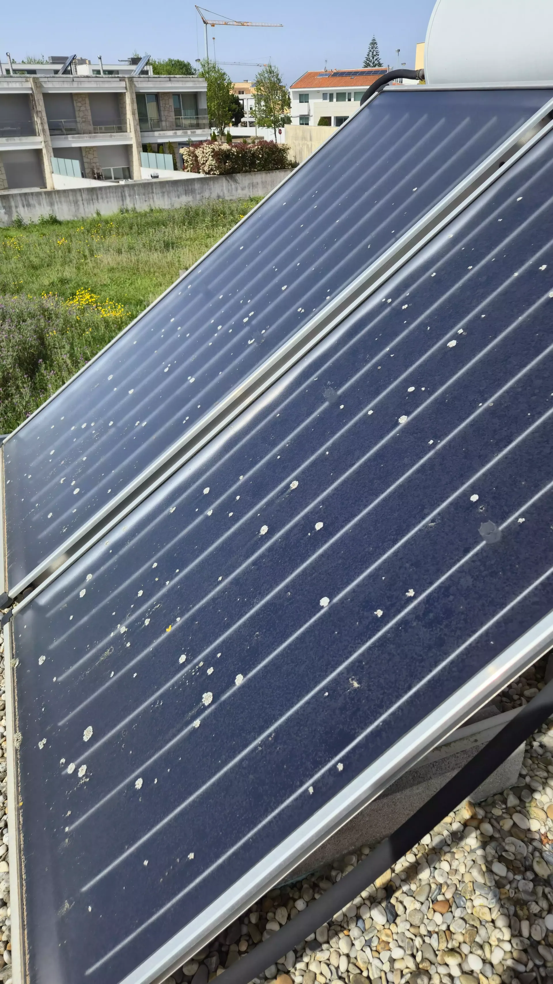 Painéis solares antes da remoção de sujidade acumulada