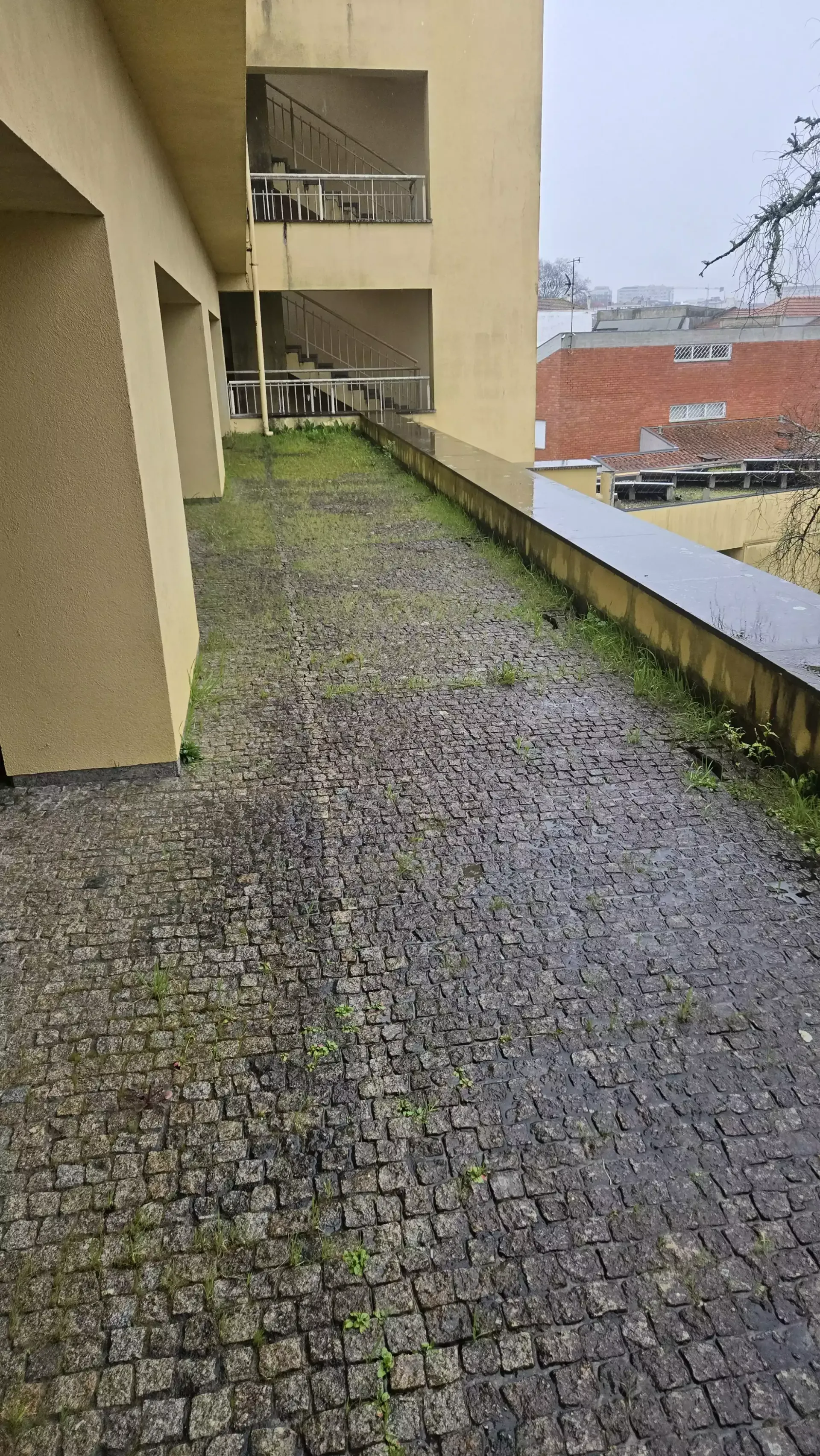 Pavimento exterior com musgo e sujidade antes da limpeza