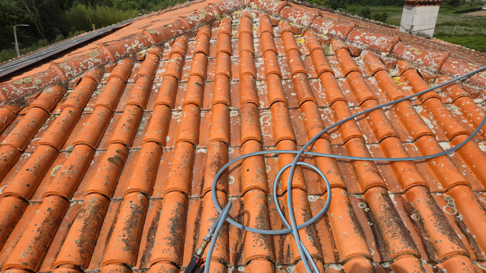Telhado cerâmico com fungos e líquenes antes da limpeza