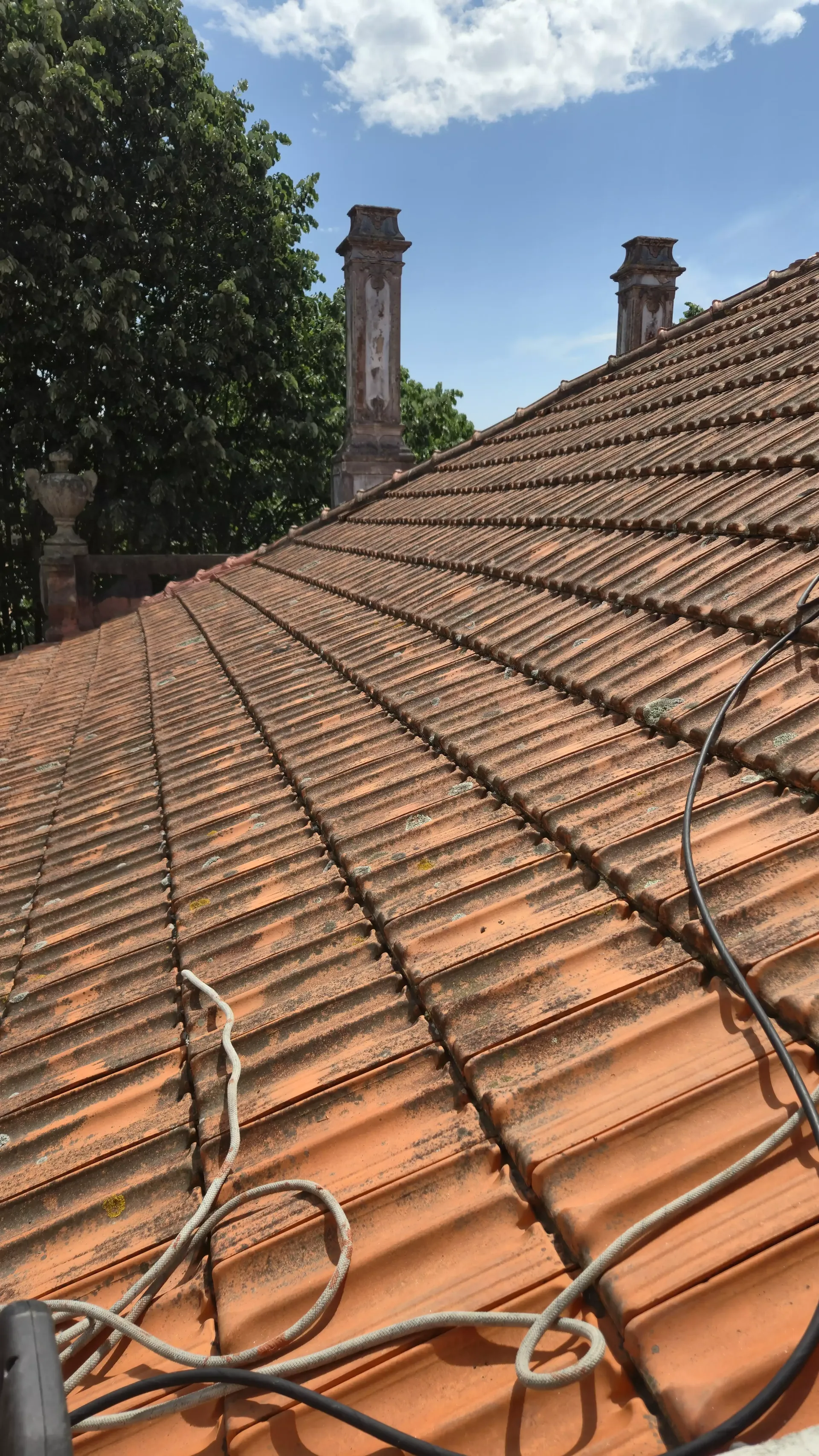 Telhado com líquenes antes da limpeza profissional