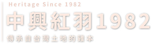 標誌：“傳承自1982年”，中文文字為“中興紅羽 1982”，顏色為淺橙色。