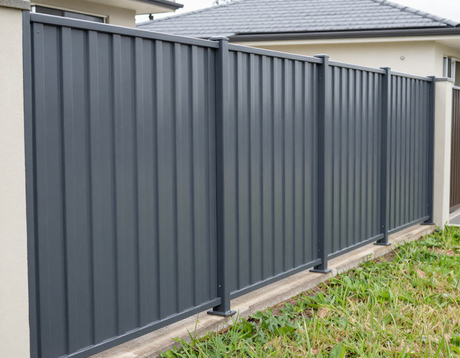 Charcoal Colorbond fence in a side yard