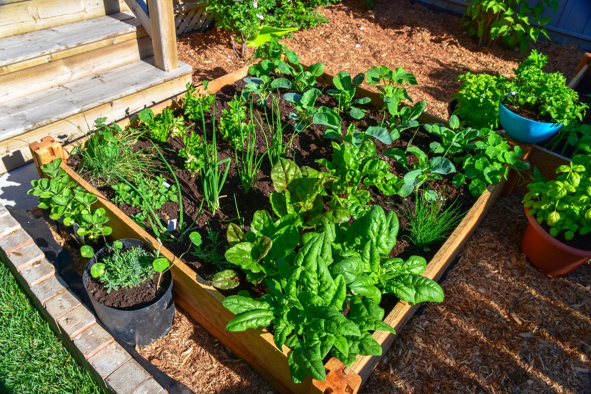 Raised garden bed with lush green plants and potted flowers beside outdoor steps and a gravel path Raised garden bed with lush green plants and potted flowers beside outdoor steps and a gravel path