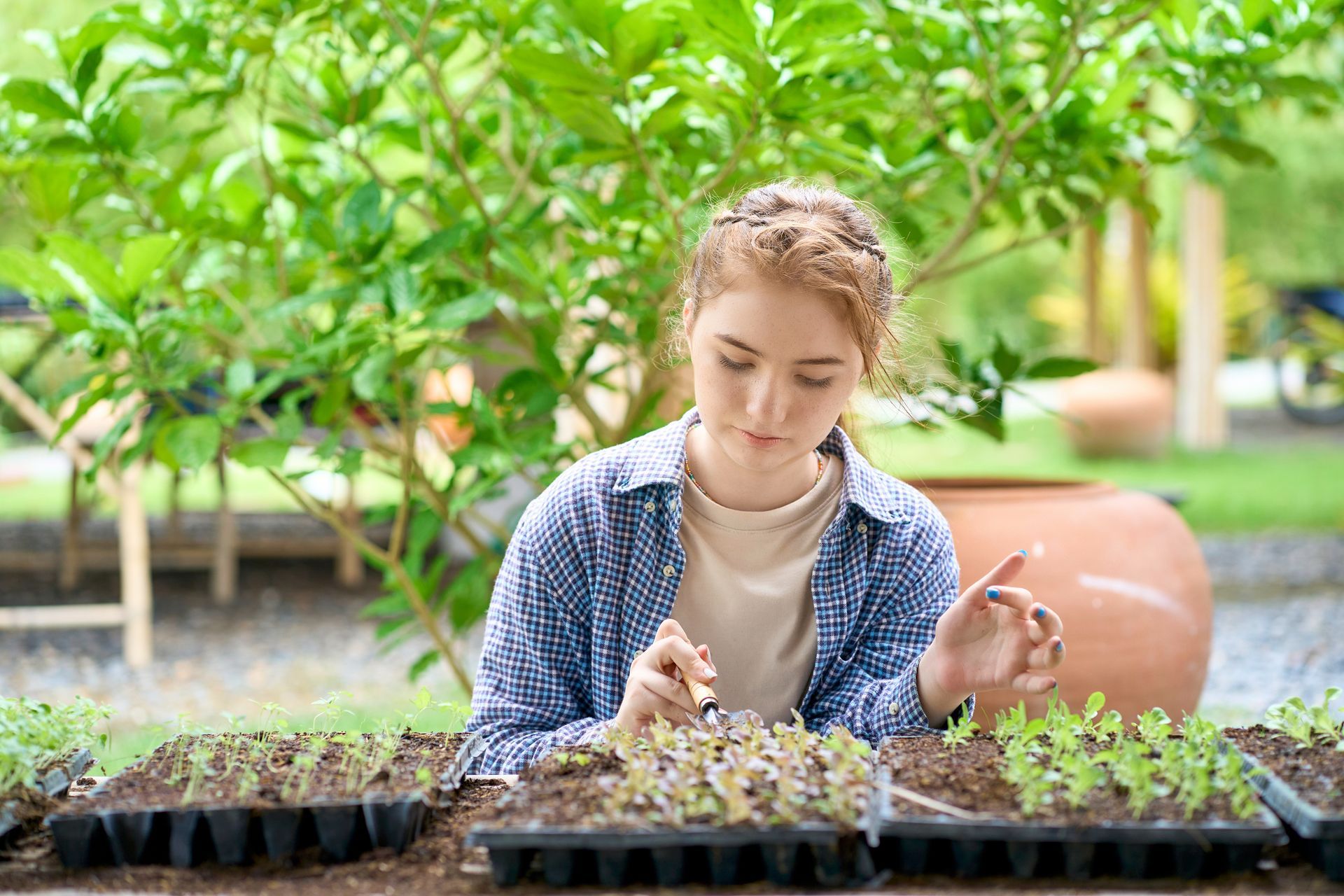 Person tending seedlings in a greenhouse, examining small plants in trays with greenery in the background Person tending seedlings in a greenhouse, examining small plants in trays with greenery in the background