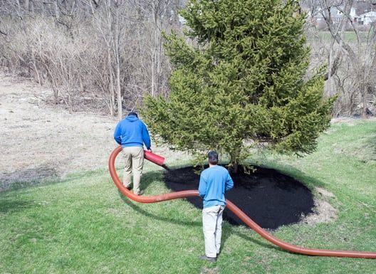 Two people in blue hoodies carry a red hose around a tree on a grassy lawn.