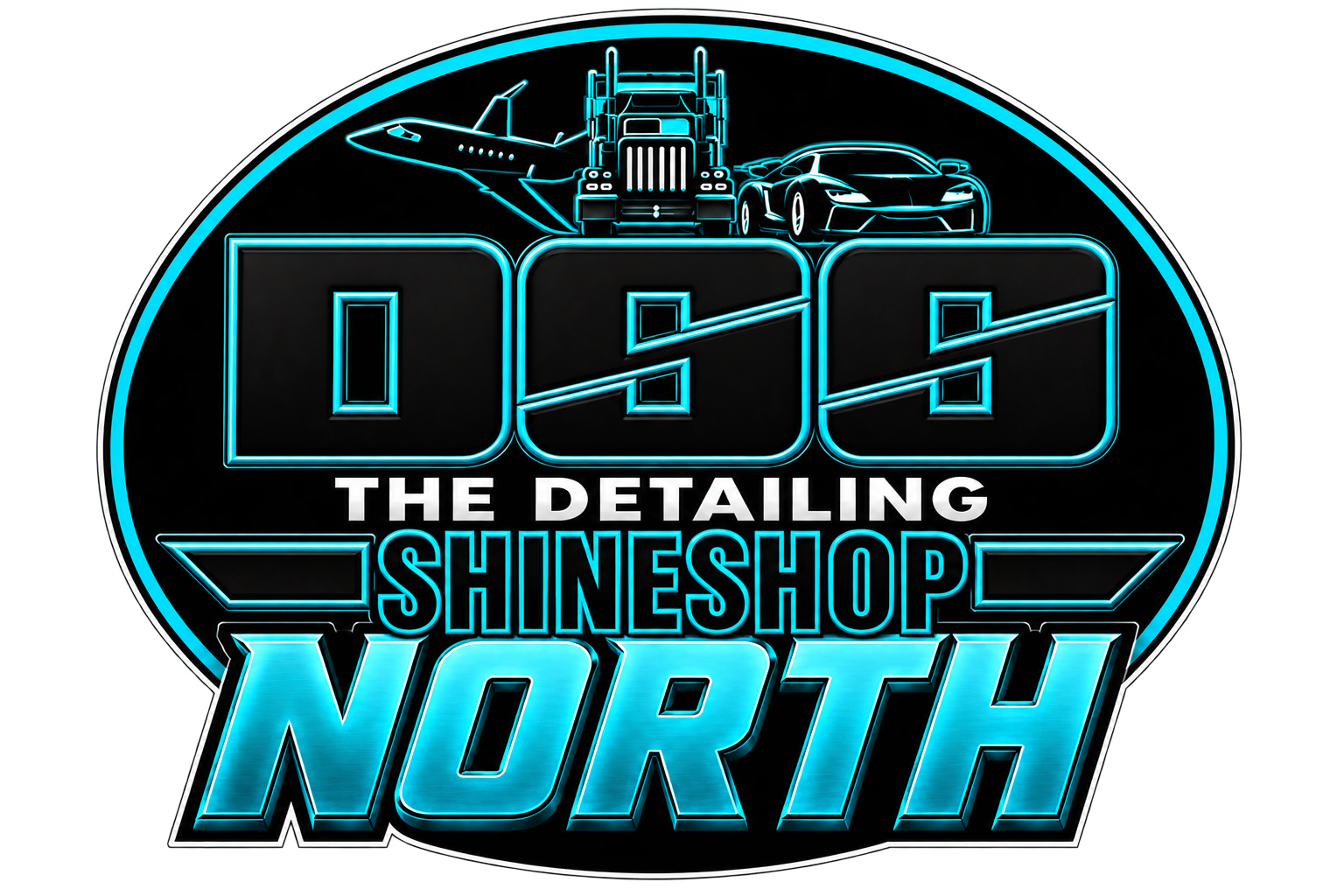 DSS The Detailing Shineshop North logo in neon blue and white on a black oval background