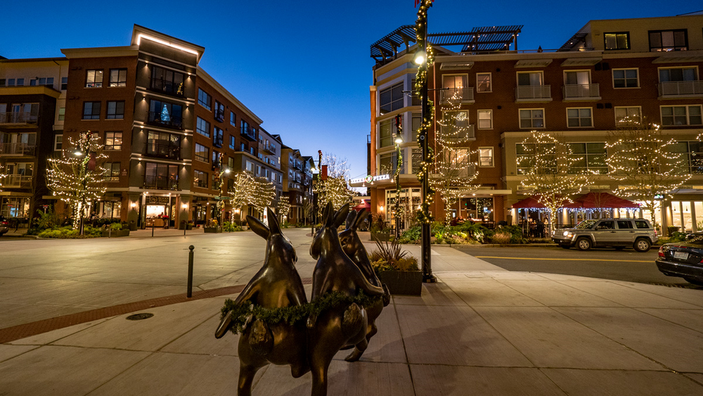 A statue of two horses pulling a carriage in a city at night.