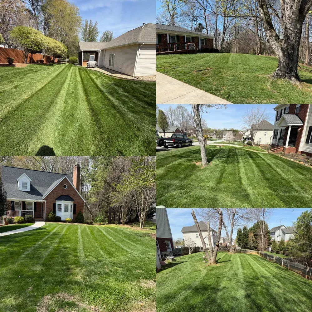 Collage of a green suburban lawn and houses under a bright blue sky, with trees and driveways.