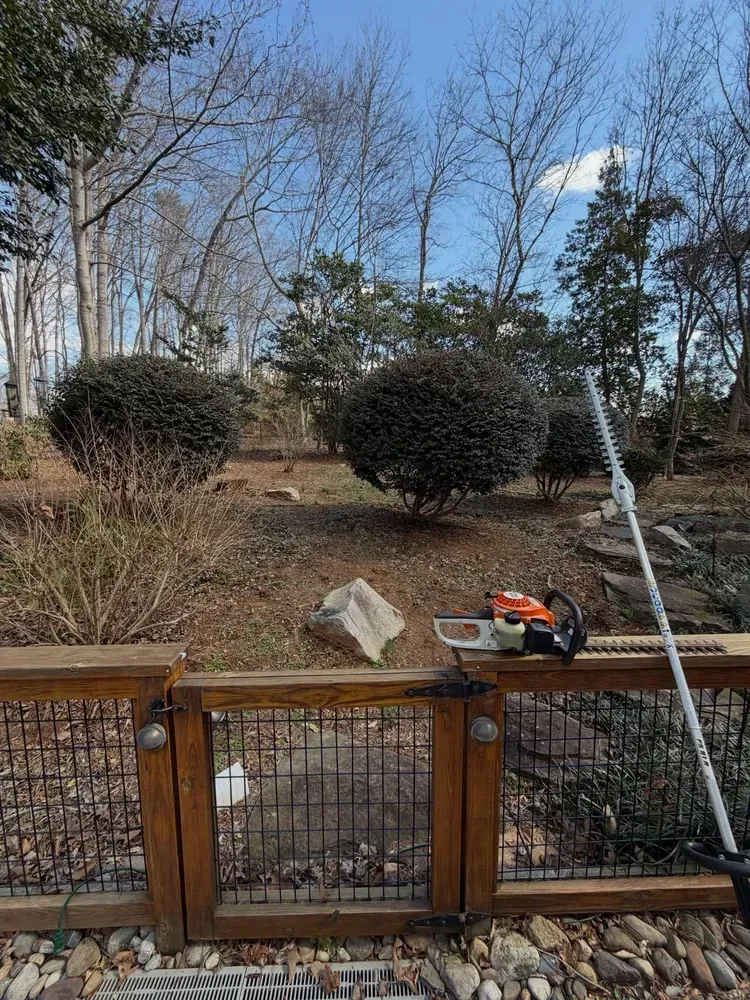 Backyard with wooden fence, bare trees, shrubs, and a chainsaw on the fence in winter.