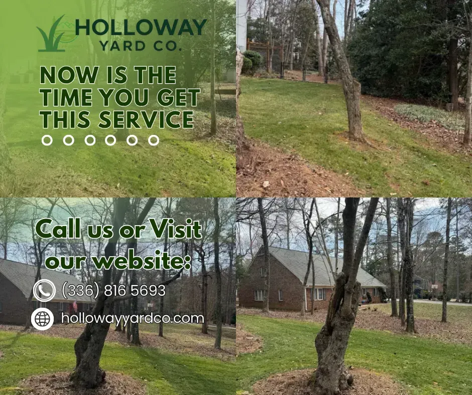 Holloway Yard Co. lawn service ad over yard photos with text: “Now is the time you get this service.”