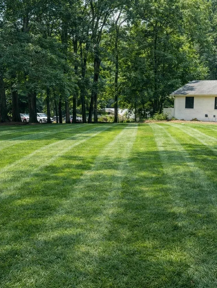 Freshly mowed green lawn with striped pattern beside a wooded yard and small white house