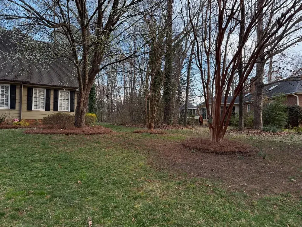 Suburban front yard with bare trees, patchy grass, and a house under an overcast sky