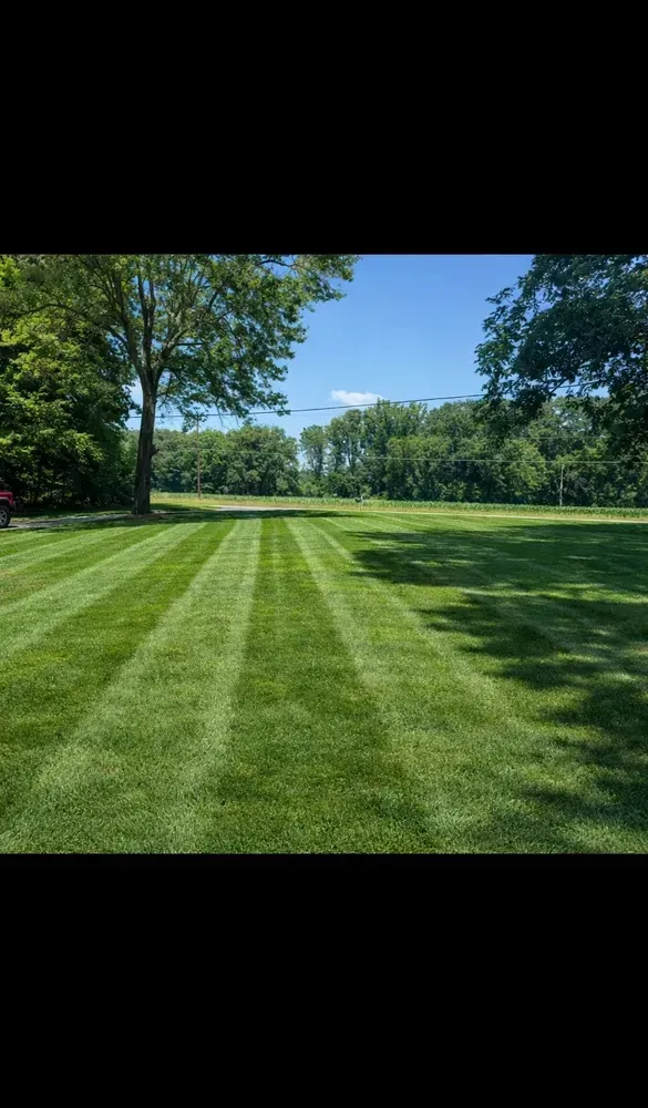 Sunlit lawn with striped grass, trees, and a clear blue sky in a park-like setting