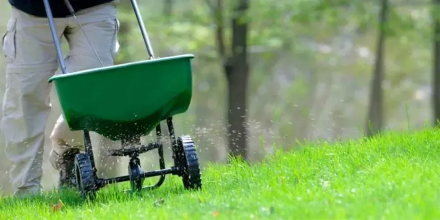 Person pushing a green spreader across a grassy lawn in a wooded area