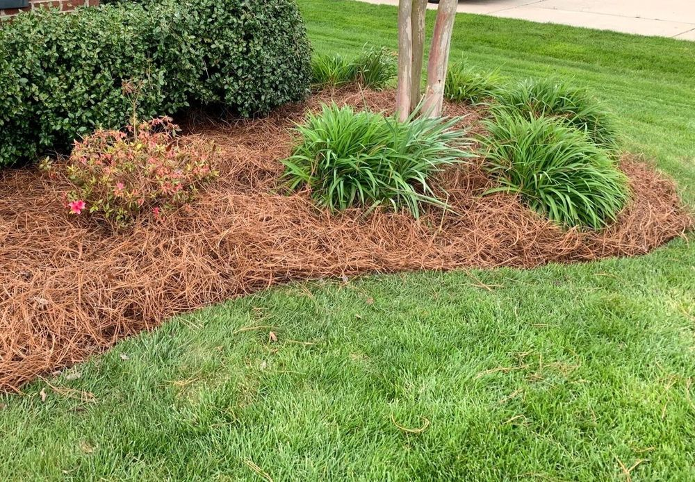 Mulched landscape bed with shrubs and ornamental grasses around tree trunks beside a green lawn